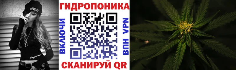 Какие есть наркотики Дно Амфетамин  Меф мяу мяу  Каннабис  COCAIN  Alpha-PVP 