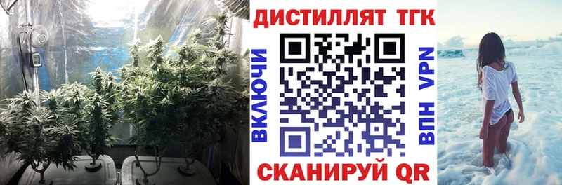 ТГК гашишное масло  наркотики  Дно 